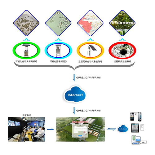 河南農(nóng)作物病蟲害實(shí)時(shí)監(jiān)控物聯(lián)網(wǎng)設(shè)備
